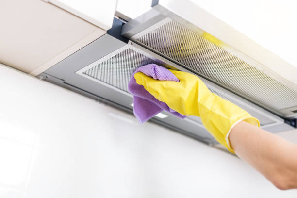 Air Duct Mold Removal in Meridian Village, CO